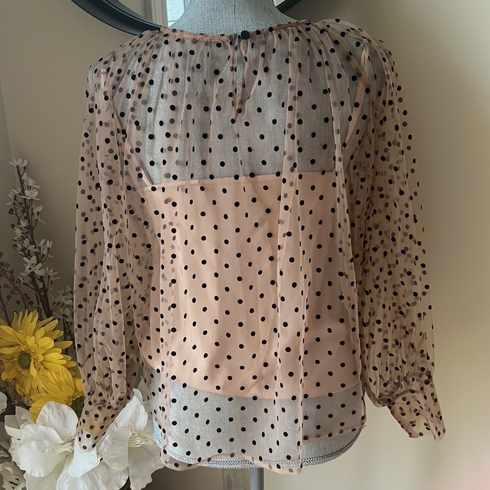 Reborn Brown Sheer Top with Black Polka Dots and Tank Liner.  Size Small - Picture 3 of 3